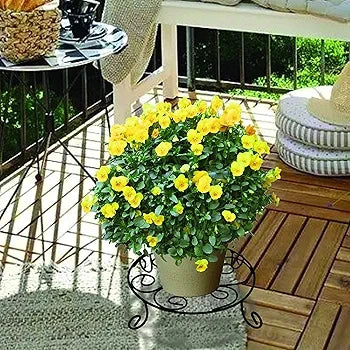 Round Plant Stand – Black Iron - WOODSONS INTERIOR