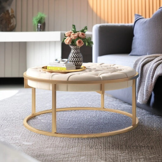 Coffee Table Velvet Ottoman with Golden Metal Finish - WOODSONS INTERIOR